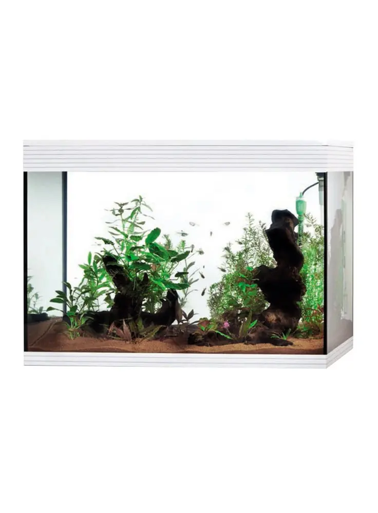askoll aquarium pump