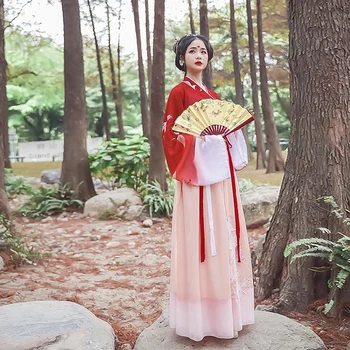 

Fairy Ancient Chinese Costume Women Hanfu Dress Palace Embroidery Girl Traditional Clothing Cosplay Folk Long Robe Vintage Party