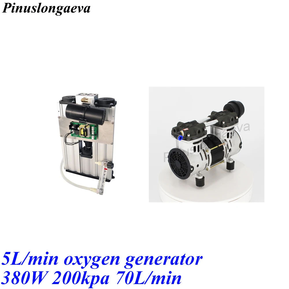 5L parts Pinuslongaeva PSA 3L 5L 10L 15L 20L 30L 96% импортируется молекулярное сито высокой концентрации медицинский домашний генератор кислорода - Цвет: 5L parts