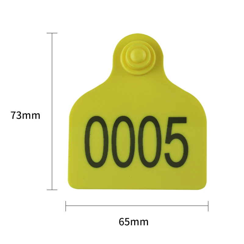 TB2Lr_PaqigSKJjSsppXXabnpXa_!!30805539