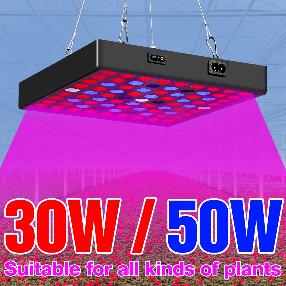 

BiaRiTi Growing Light EU US UK Plug Phytolamp LED Full Spectrum Hydroponics Lamp 30W 50W Seedling Fito Light LED Flower Lampara