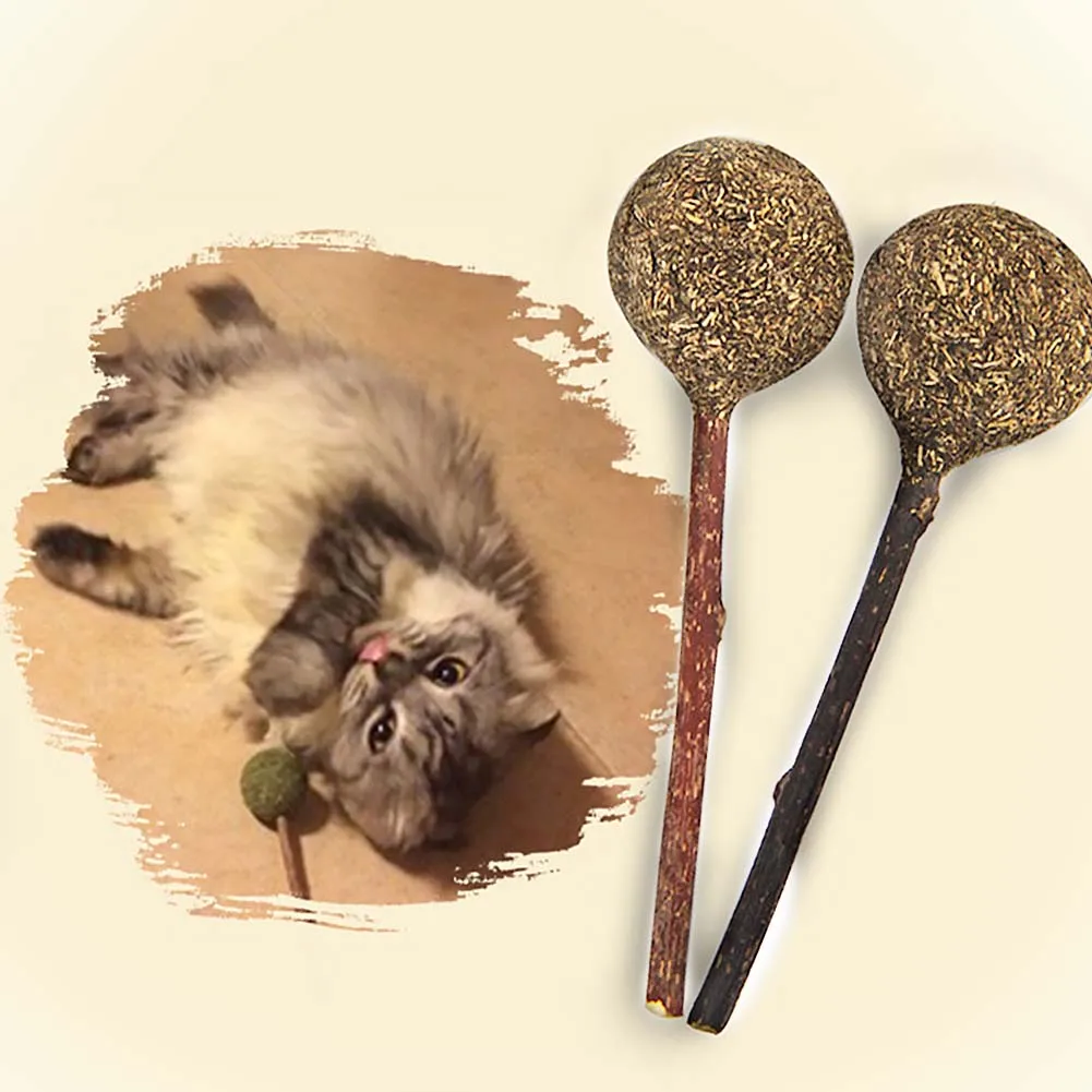 Игрушечная машинка для кошек, котята, забавные интерактивные игрушки, натуральная кошачья палочка, чистящая палочка для чистки зубов, мячик для кошачьей кошки, кошачий леденец
