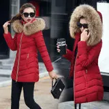Cotton Coat Winter Korean-style New Style WOMEN'S Cotton Padded Clothing Women's Short Slim Fit Cotton-padded Jacket down J