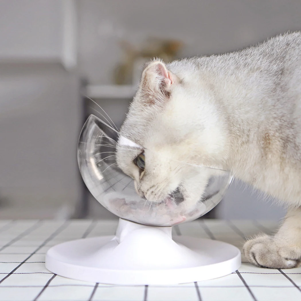 Bowl of food for dogs, cats, pets, cats feeding supplies