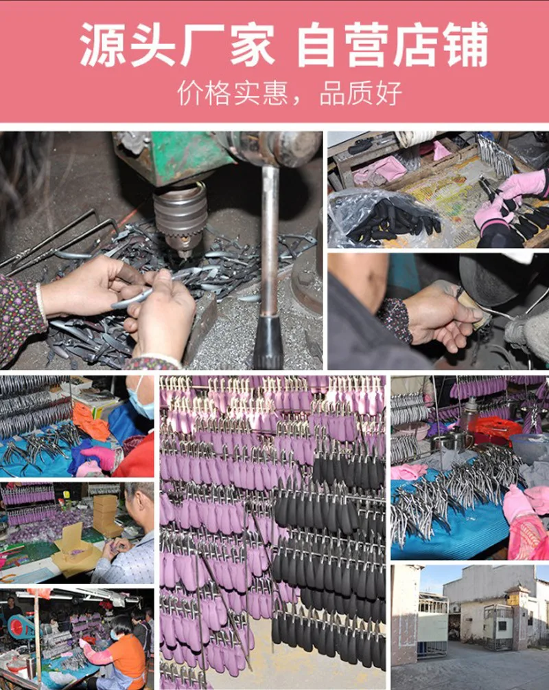 Manufacturers Direct Selling New Style Double Fork Sanding Bent Nose Plier Nail Clippers Paronychia Only Ingrown Toenails Manicu