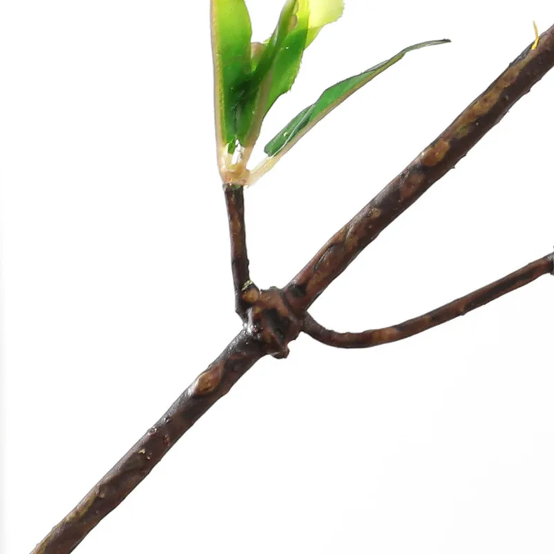 11749257147_1554594402