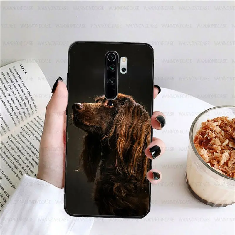 harper cocker spaniel hellip dog puppies