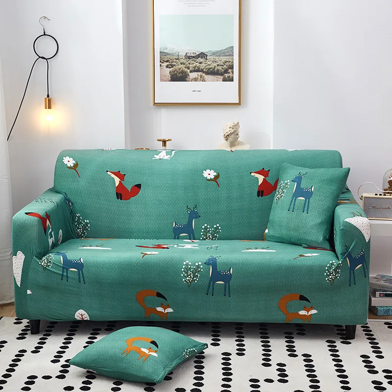 11422915851_1044884733