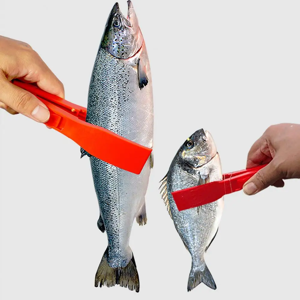 https://ae01.alicdn.com/kf/Hb5d971023e0a4ccdb414712440bc9cf50/30-Discounts-Hot-Fish-Control-Plier-Portable-Non-slip-ABS-Fish-Clip-Catcher-Fishing-Gear-Supplies.jpg