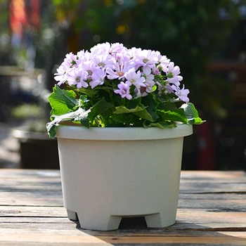 

Balcony Office Thickening Ding-Shaped Flower Pot Gardening Creative Potted Green Plant Flower Pot