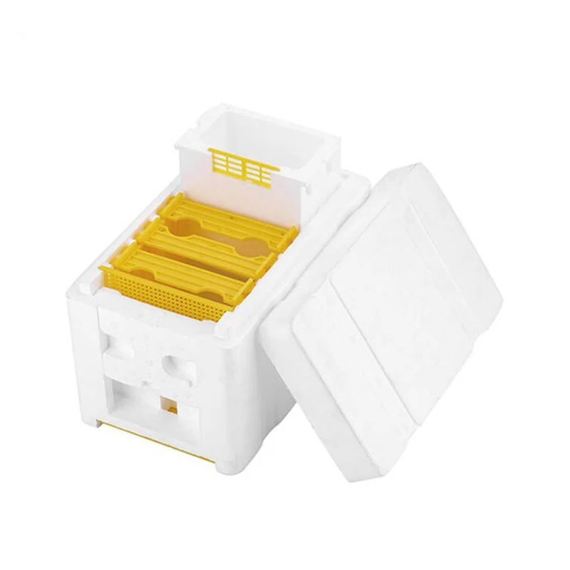 EPS Mini Mating Box Nucleus Hive Queen Bee Rearing Hive Bee King Breeding Tools Apiculture Beekeeping Equipment Benefitbee beekeeping tools bee breeding box