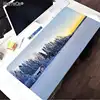 Computer Peripherals