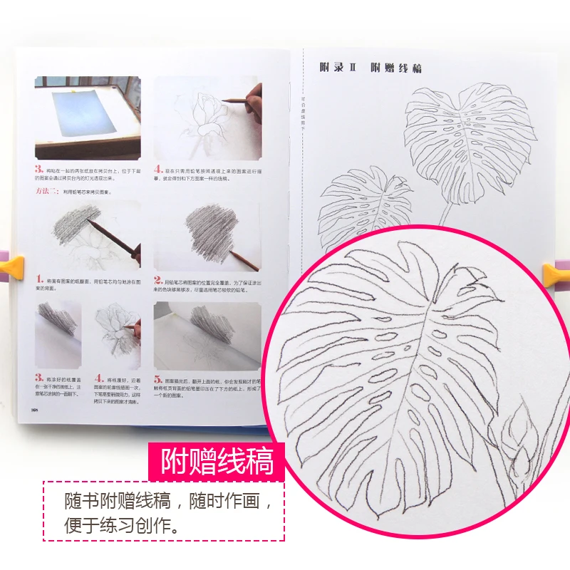 Color-Pencil-Flowers-World-Coloring-Book-Zero-Based-Learning-Painting-Books-Art-Sketch-Drawing-Tutorial-Book (4)