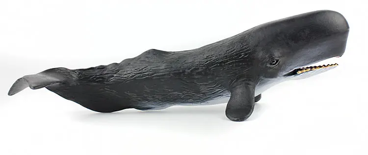 Модель большая белая акула Кашалот большой размер Orca модель морского организма Акула животное непластиковая игрушка