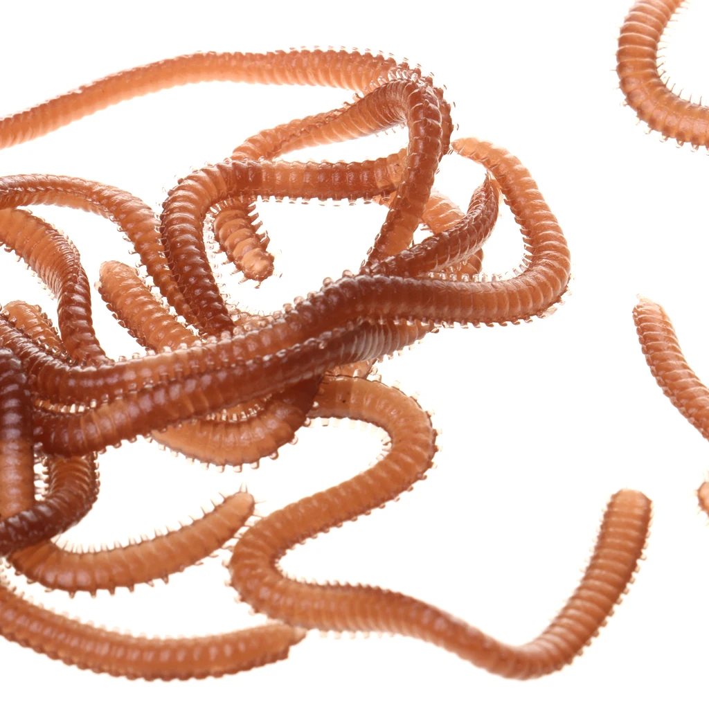 1 Box 3cm Smelly Flavored Soft Fishing Lure Plastics Lifelike Earthworm Fishing Lures with Box