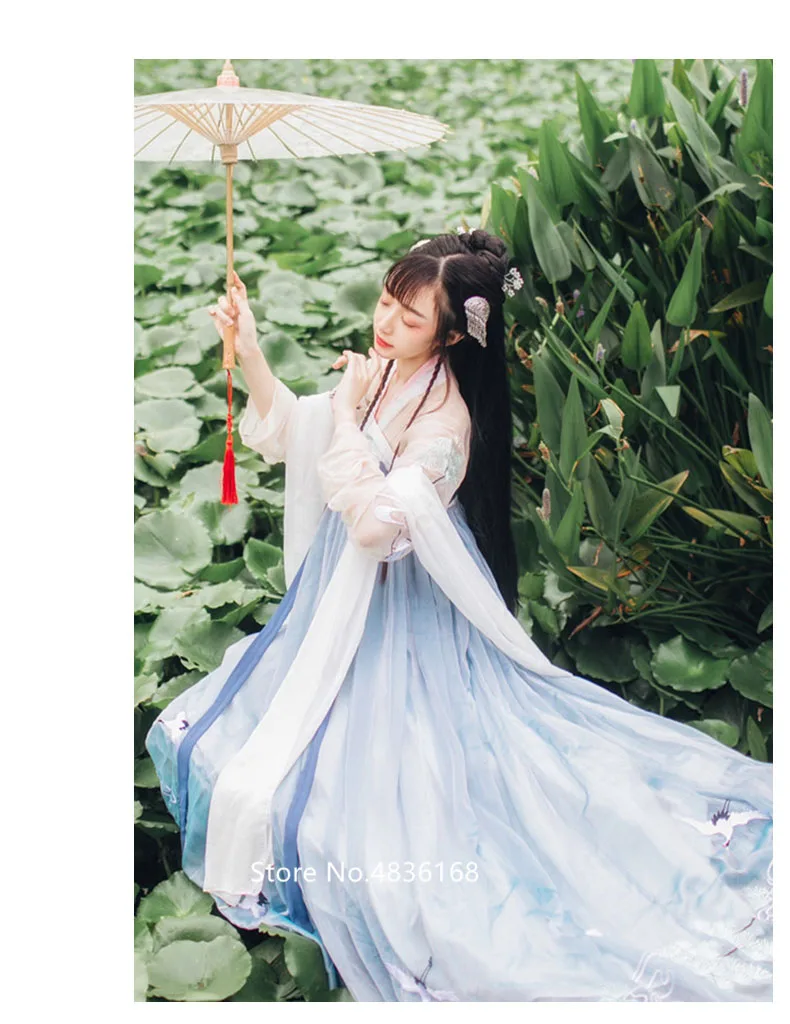 Hanfu платье для женщин Фея Традиционный китайский национальный костюм журавль принт Винтаж Новогодняя одежда народный танец китайская принцесса косплей