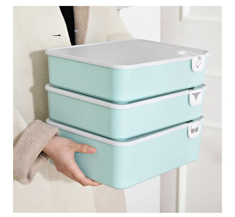 Multi-size Underwear Organizer Storage 
