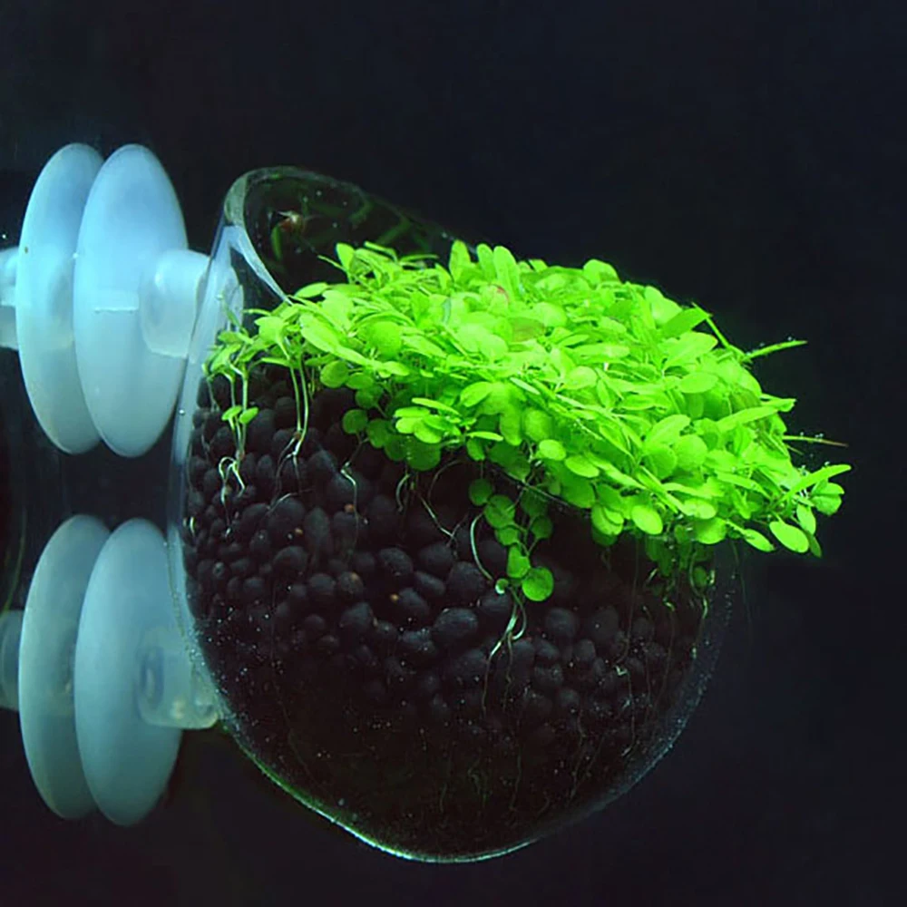 горшочки для аквариумных растений. горшки для аквариумных растений. горшки для аквариумных растений. растения в горшках в аквариуме. глиняные горшки для аквариумных растений.