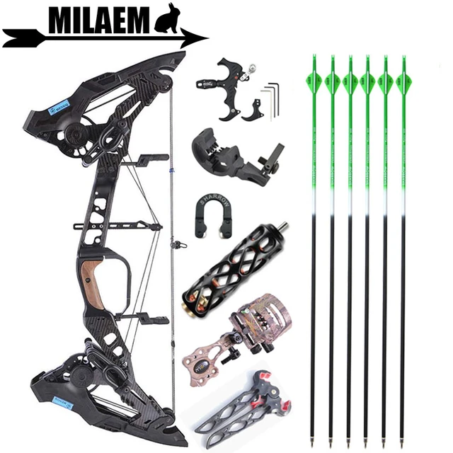 Archery Compound Bow Set 21.5Lbs To 60Lbs Adjustable Adult Hunting Bow  Shooting Steel Ball Bow Sight Stabilizer Accessories - AliExpress