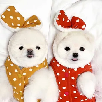 

Autumn and winter thick warm pet cotton coat Teddy Bichon Hiromi Schnauzer VIP small dog dog clothes cat vest jacket