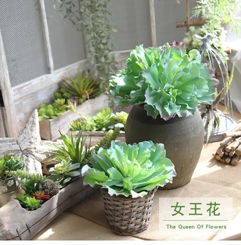 

1 Pieza de plástico Artificial verde Mini planta suculenta Flor de micropaisaje arreglo jardín boda hogar Mesa decoración Bonsai