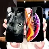 Phone Bags & Cases