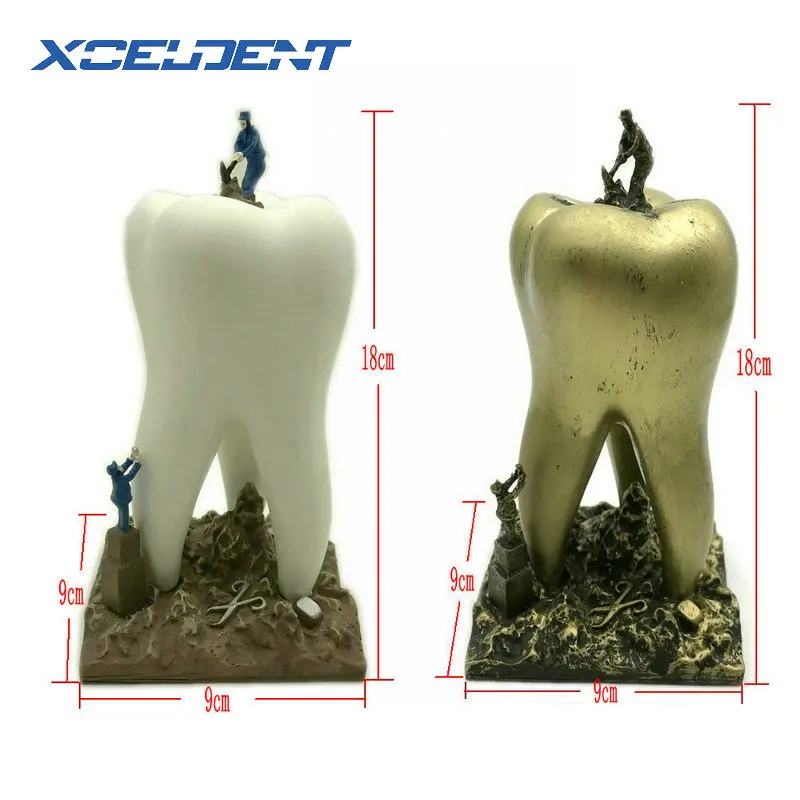 Зубные Artware зубы Ремесленная подарок для дантиста изделия из смолы Dental Clinic декоративная отделка статьи творческий подарочные товары