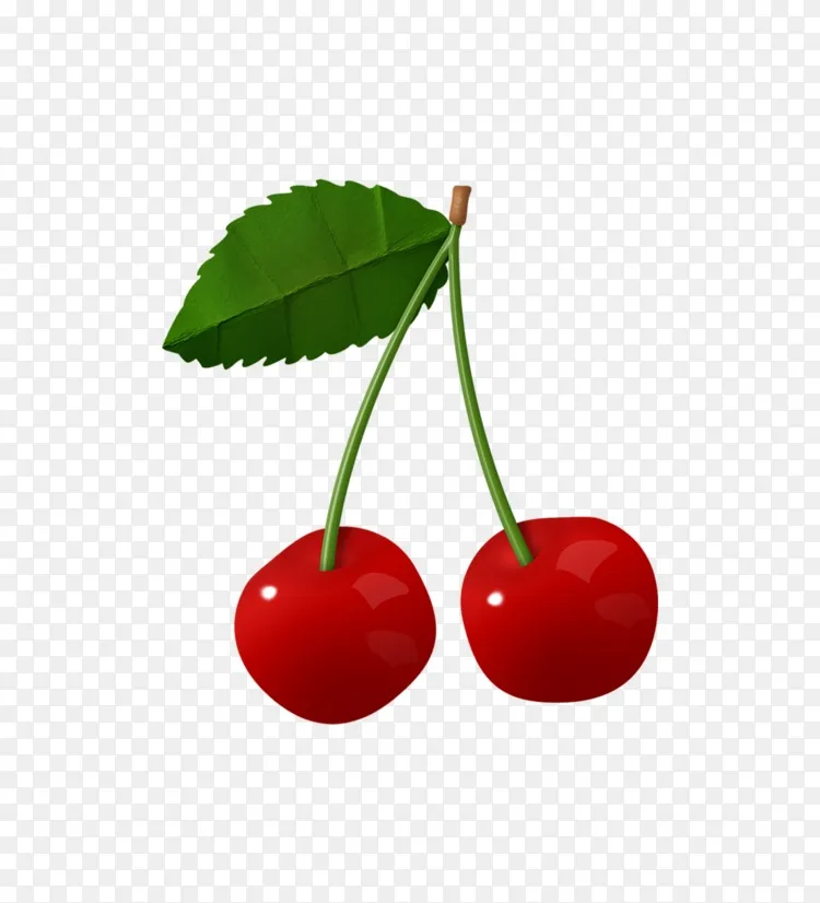 樱桃水果剪贴画-樱桃
