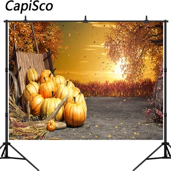 

Capisco Autumn Harvest Pumpkins Photography Background Thanksgiving Baby Shower Birthday Backdrop Cake Table Decor Photo Booth