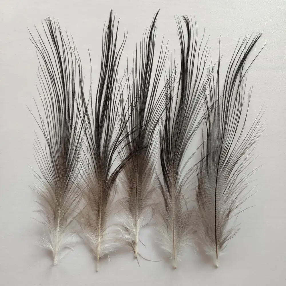 Wholesale 10-100pcs Pretty Natural Pheasant Tail Feathers 10-14 inches/25-35 cm 