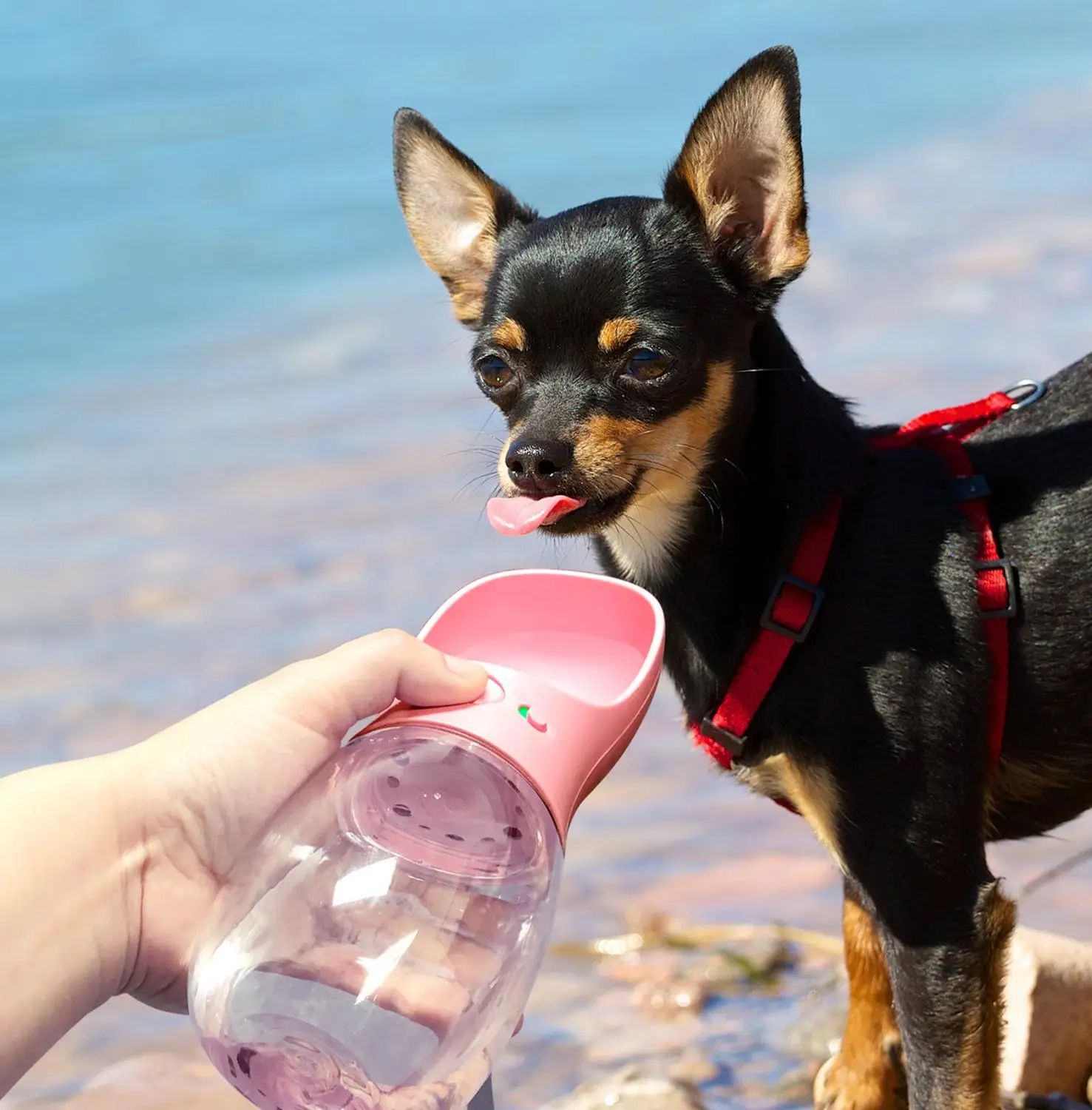 Portable Pet Dog Water Bottle For Small Large Dogs Travel Puppy Cat Drinking Bowl Outdoor Dispenser Feeder Product | Дом и сад