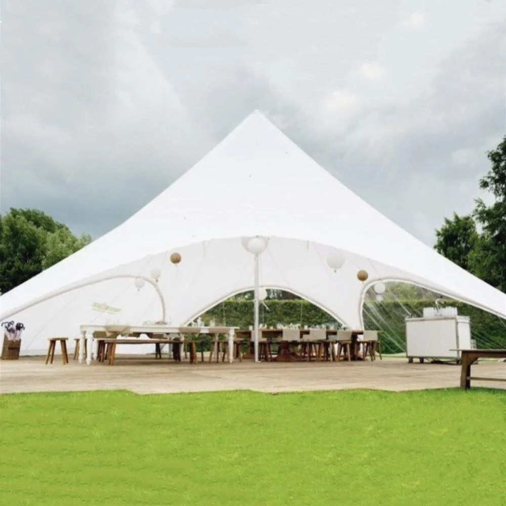 8mx12mダブルピークスターテント イベント広告展示会ディスプレイおよびフェア用の全体カバートップにデジタル印刷 テント Aliexpress