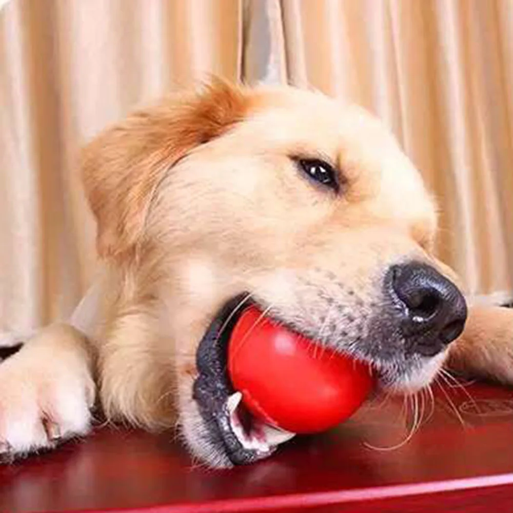 

Dog Toy Interactive Rubber Balls Pet Dog Cat Puppy Elasticity Teeth Ball Dog Chew Toys Tooth Cleaning Balls Toys For Dogs