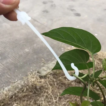 

Plastic Vine Clip Tomato Vegetable Support J-Hook Fruit Buckles Hooks Vine . Growing Hook For Garden Greenhouse 100PCS