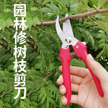 

Stainless Steel Gardening Shears Fruit Tree Garden Scissors Branch Scissors Fruit Picking Scissors