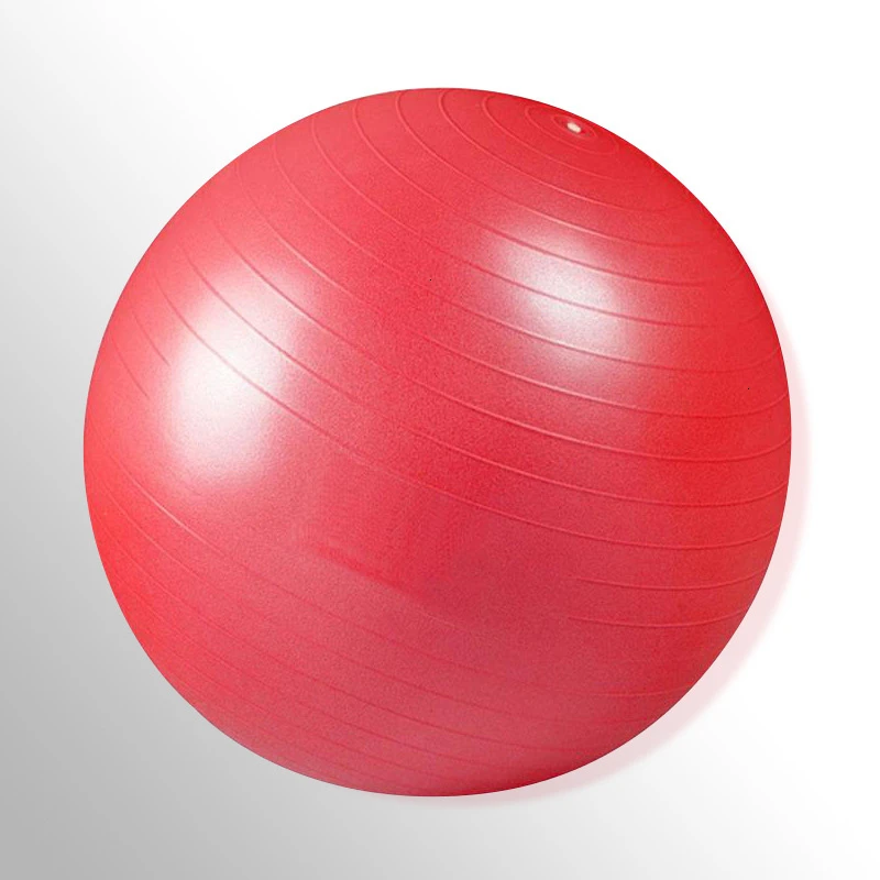 Exercise balls 55