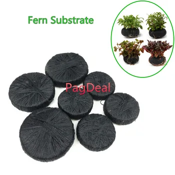 

5pcs Aquarium Beautify Fern Substrate Kit Protect Live Aquatic plant Root Fish Tank Decorative Ornaments No Messy Easy to Use