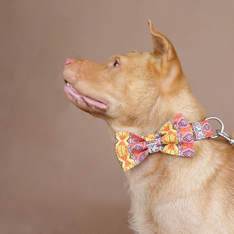 Розничная продажа красивый ошейник для собак MUTTCO с самостоятельным дизайном