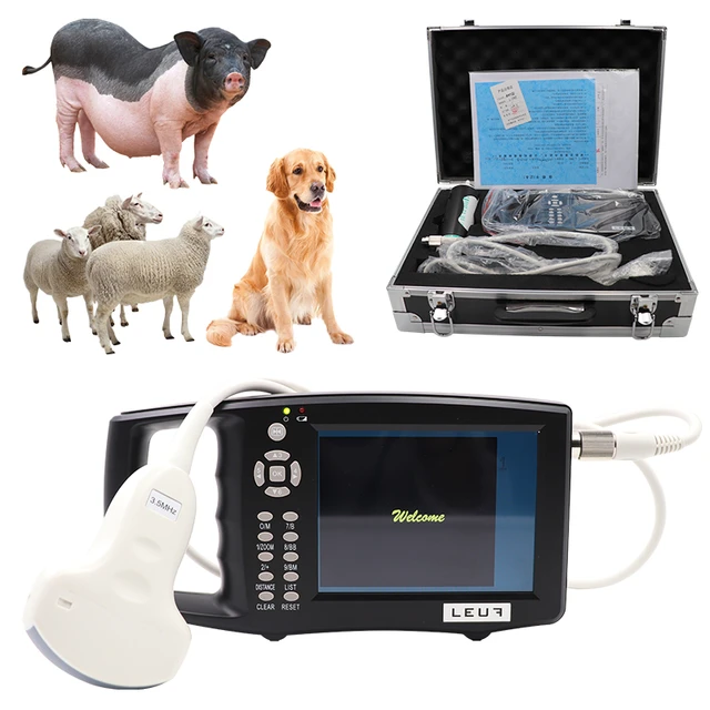 Machine à ultrasons vétérinaire portable S0 pour des tests de grossesse  rapides chez les chiens, les porcs, les moutons. – Wellue