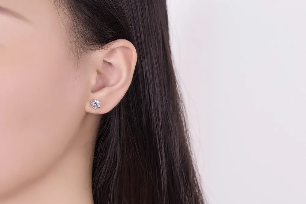 7548684767_1384916843