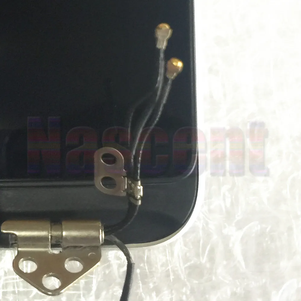 IMG_6245_副本_副本