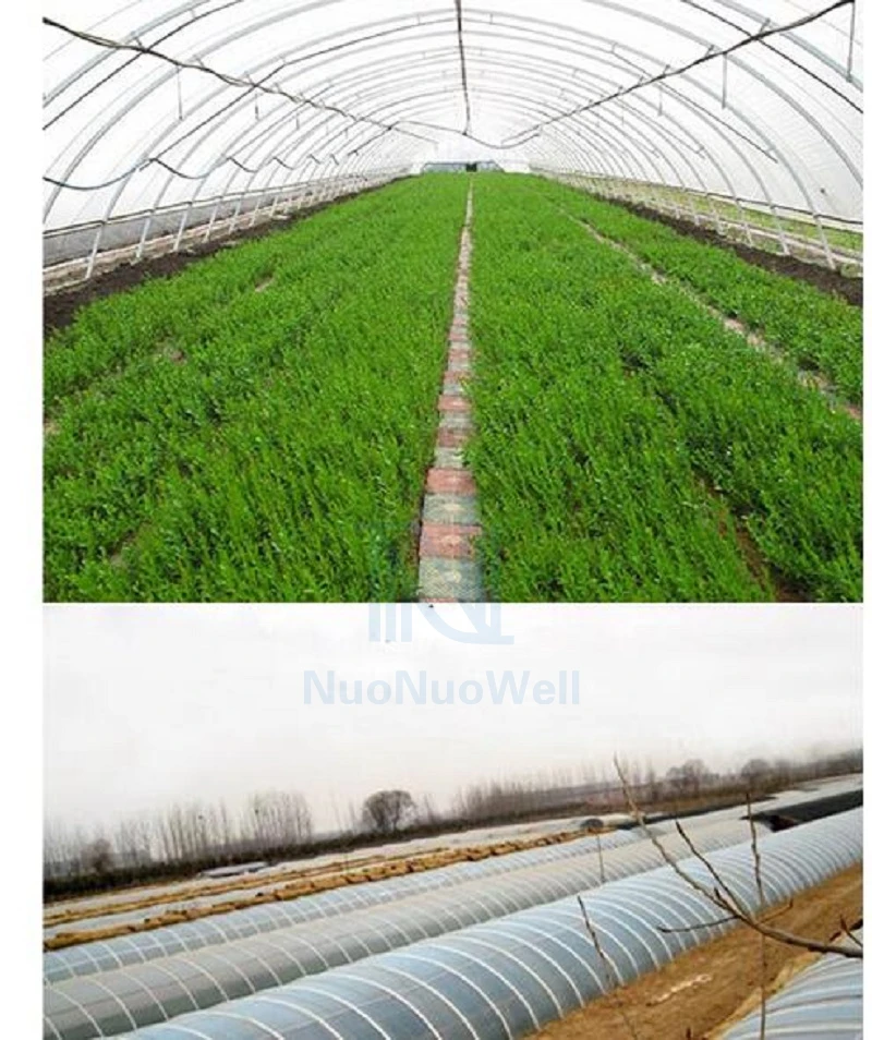 Thicken 0.08mm 1m Width PE Plastic Rainproof Mulch Garden Greenhouse Film Succulent Plants Cover Transparent Thermal Membrane