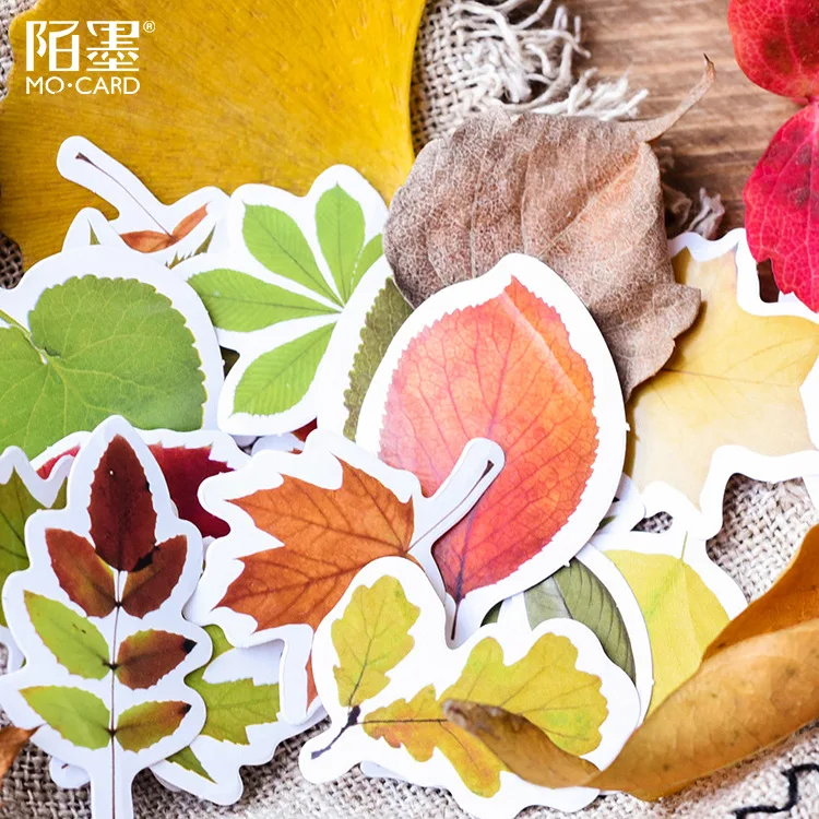 9986271469_1057887383