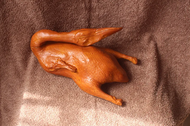 IMG_5184 duck