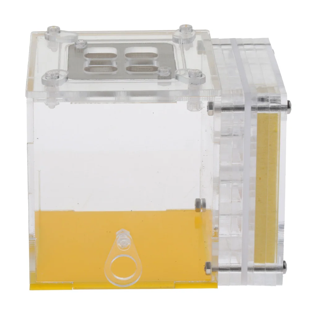 Ant Insect Pet Castle House Farms Feed Transparent Terrarium Display Box Kids Ecological Educational Toys  ( Square )