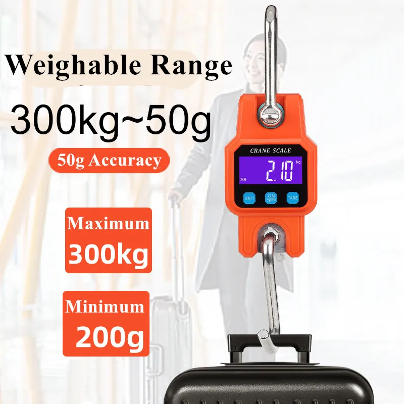 Stainless Steel Portable Hanging Scale