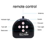 RC spider toy remote control Tarantula Black widow Electric toys Simulation lifelike crawl araneid Tricky novel gift for boys 6