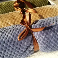 JIAMEN из одноцветной сетчатой ткани одеяло ананас коралловый флис одеяло колено одеяло ПЭТ маленький плед кошка одеяло покрывало для собаки