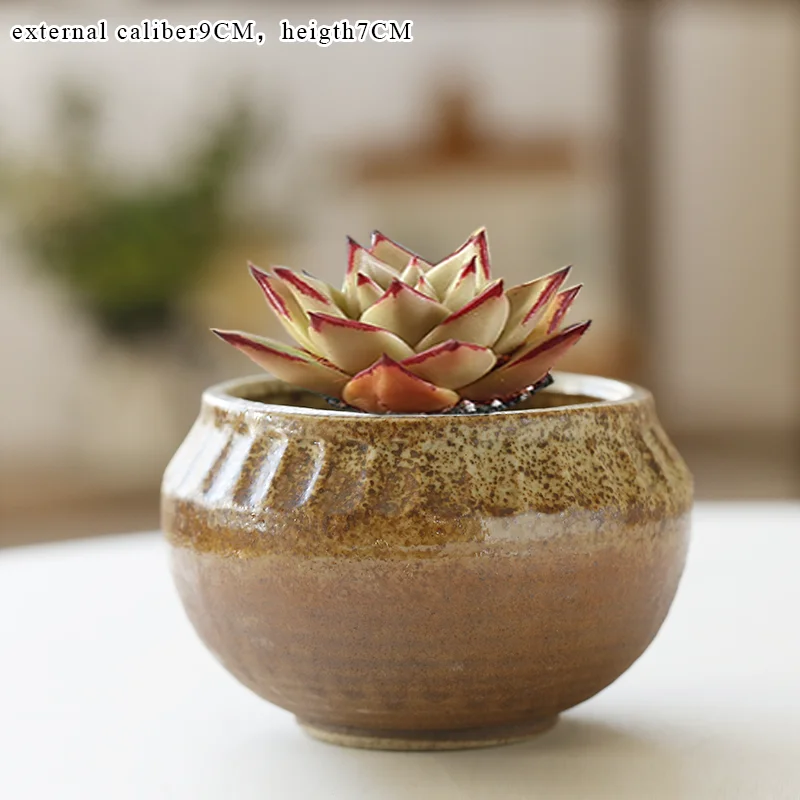 Cactus em vaso, desenho planta, pintado à mão flores png