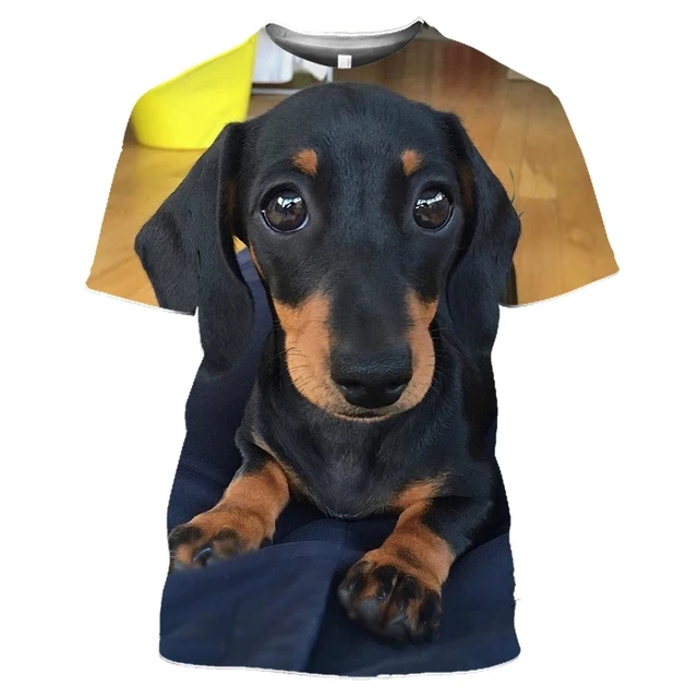 T Shirt manches courtes Teckel pour hommes imprim 3D surdimensionn mignon chien Dackel